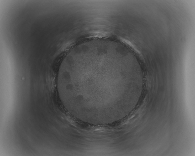 X0000110691399200906121216