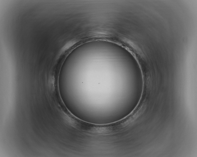 X0000110691402200906121217