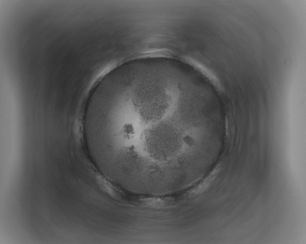 X0000110691405200906121217