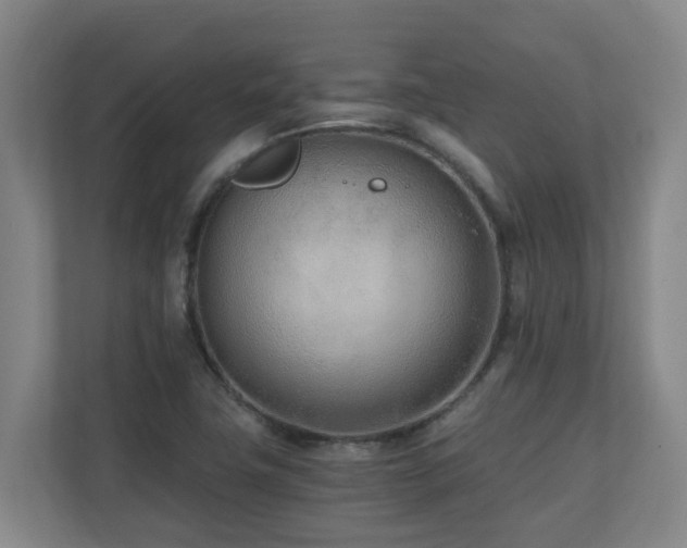 X0000110691411200906121217