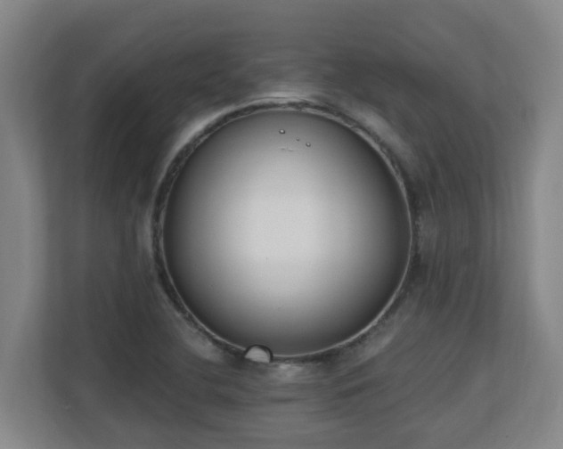 X0000110691412200906121217