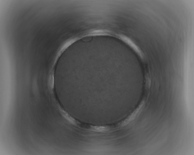 X0000110691413200906121217