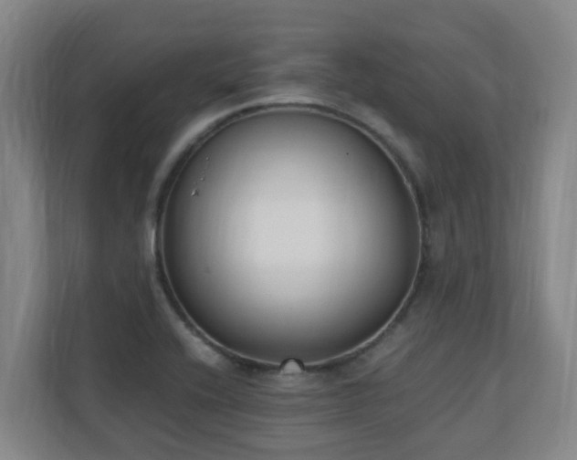 X0000110691416200906121217