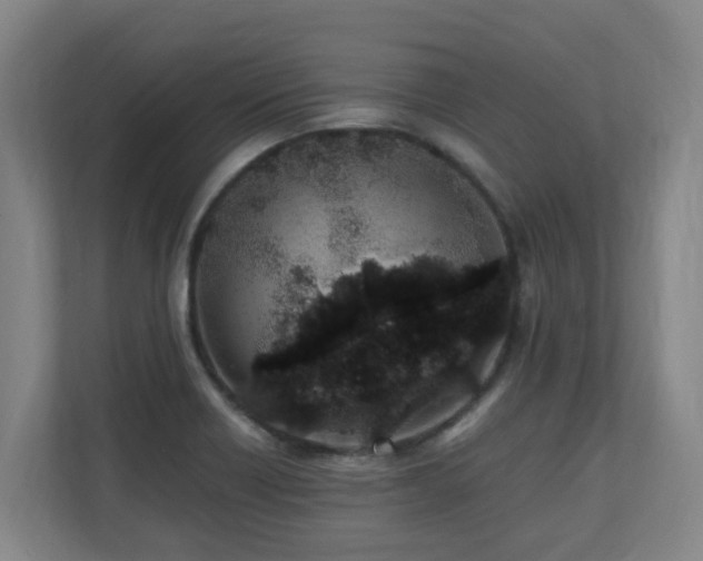 X0000110691418200906121217