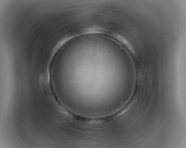 X0000110691419200906121217