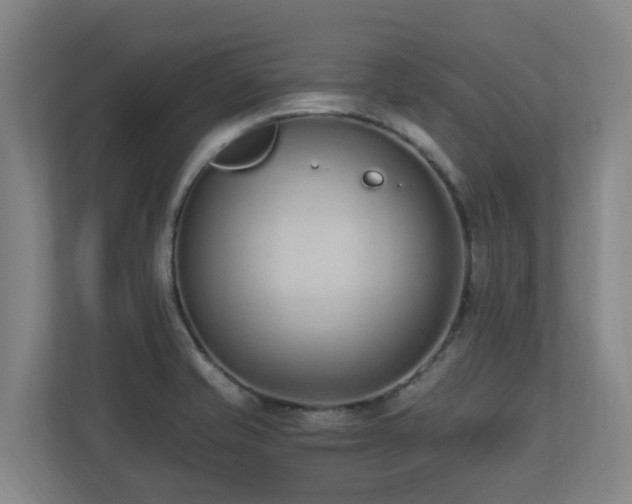 X0000110691421200906121217