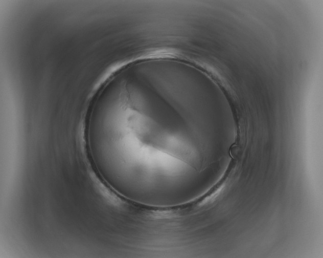 X0000110691422200906121217