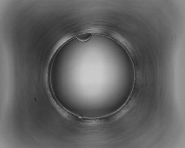 X0000110691426200906121217