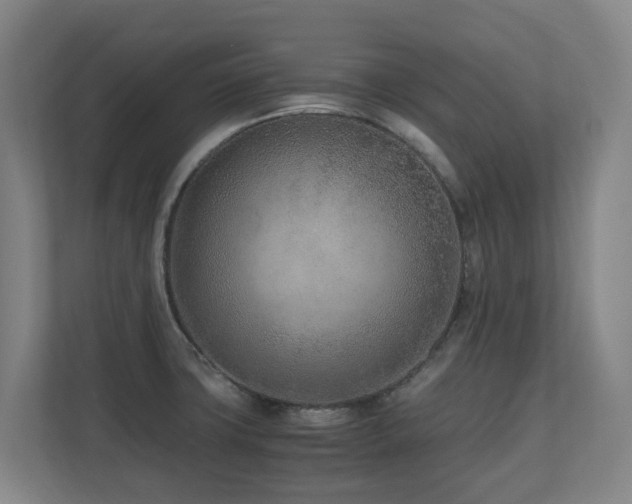 X0000110691427200906121217