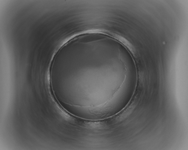 X0000110691428200906121217