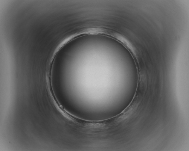 X0000110691429200906121217