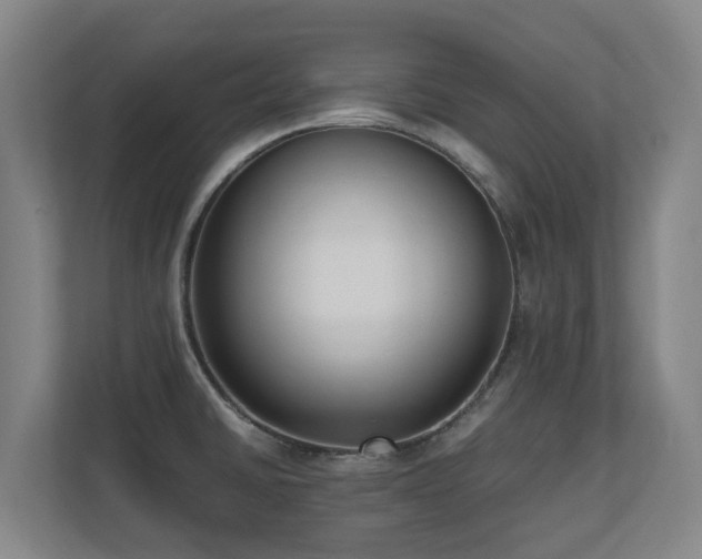 X0000110691430200906121217