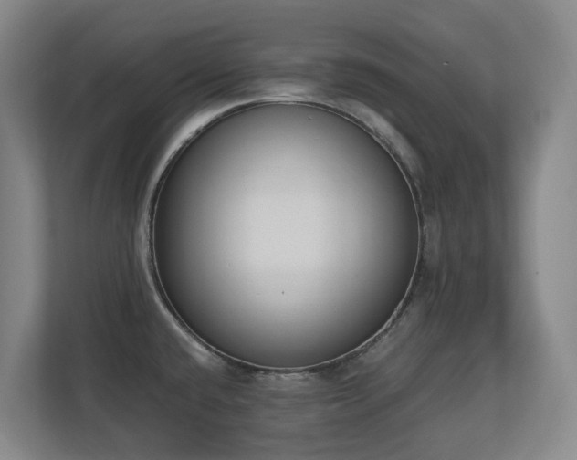 X0000110691432200906121217