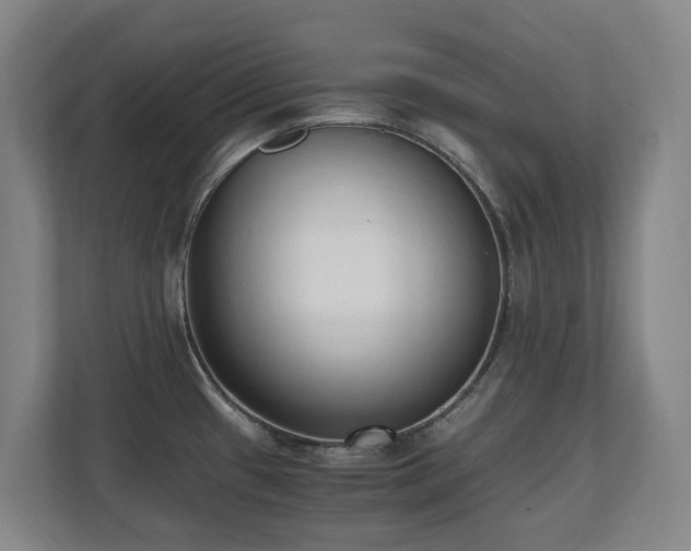 X0000110691433200906121217