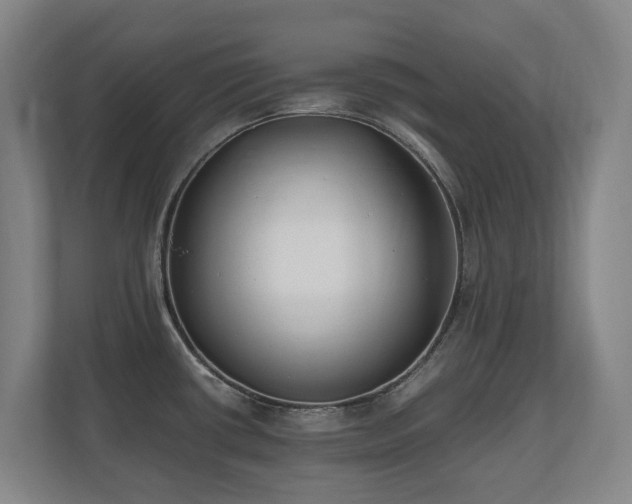 X0000110691434200906121217