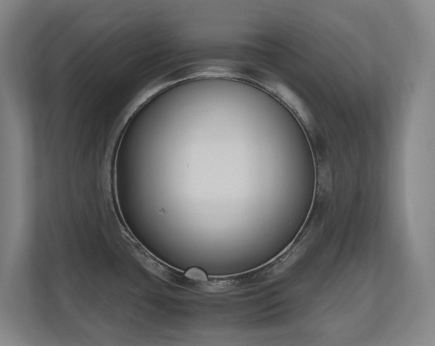 X0000110691435200906121217