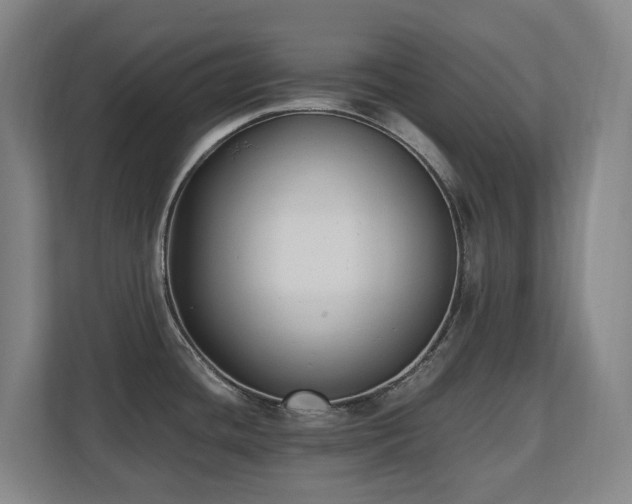 X0000110691436200906121217