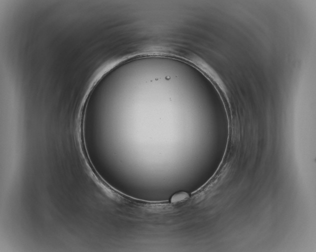 X0000110691437200906121217