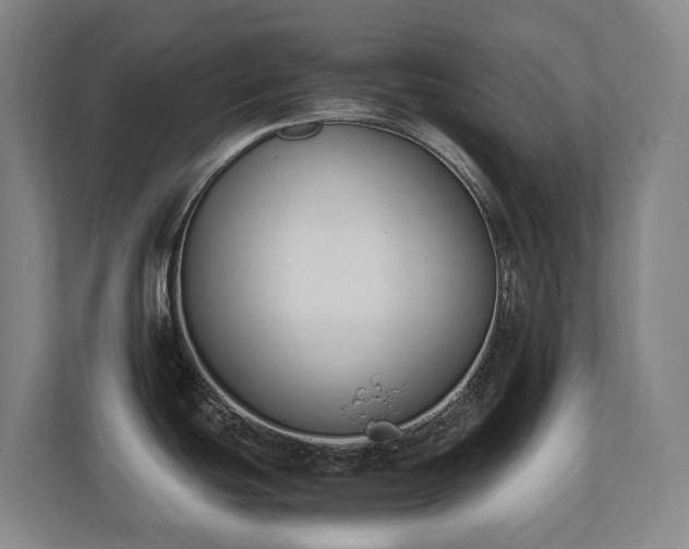 X0000110691439200906121217