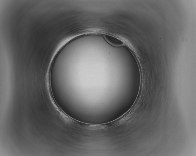 X0000110691440200906121217