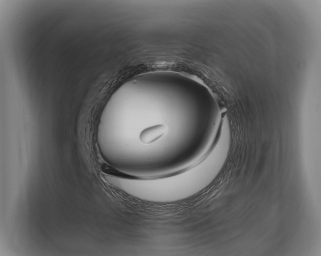 X0000110691441200906121216