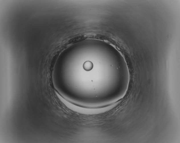 X0000110691445200906121216