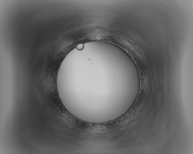 X0000110691446200906121216