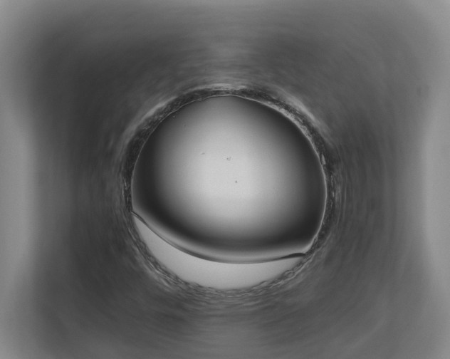 X0000110691448200906121216