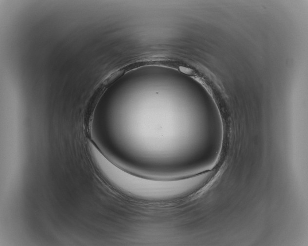 X0000110691449200906121216