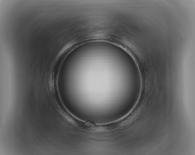 X0000110691450200906121216