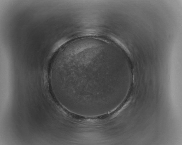 X0000110691453200906121216