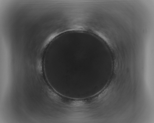 X0000110691455200906121216