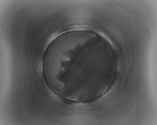 X0000110691459200906121216