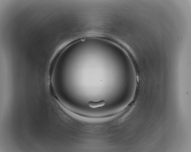 X0000110691461200906121216