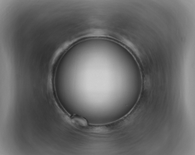 X0000110691464200906121216