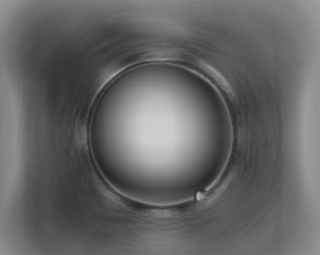 X0000110691465200906121216