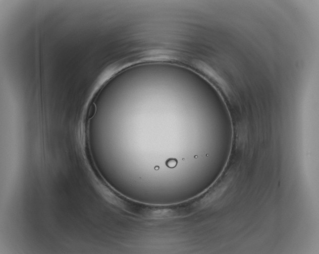 X0000110691467200906121216