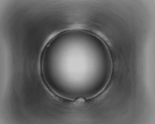 X0000110691469200906121216