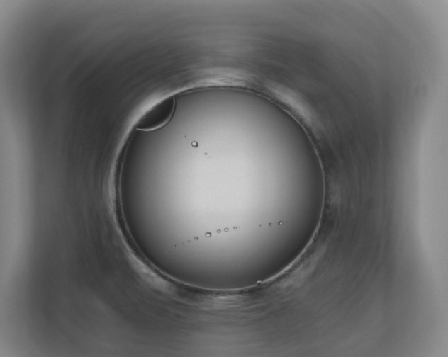 X0000110691471200906121216