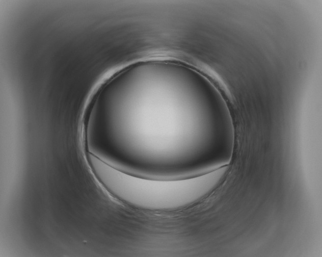 X0000110691472200906121216