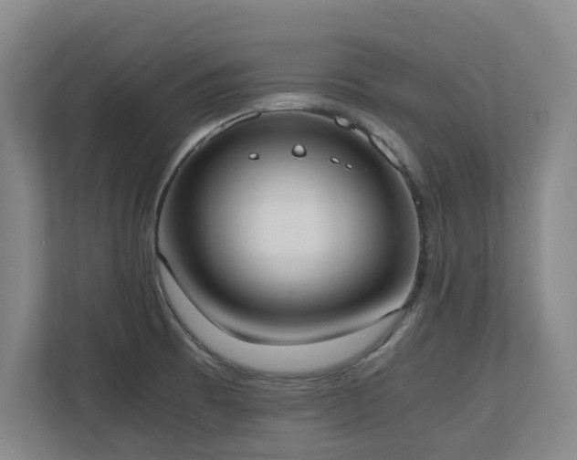 X0000110691473200906121216