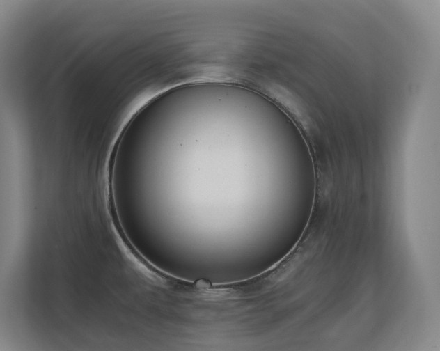 X0000110691479200906121216