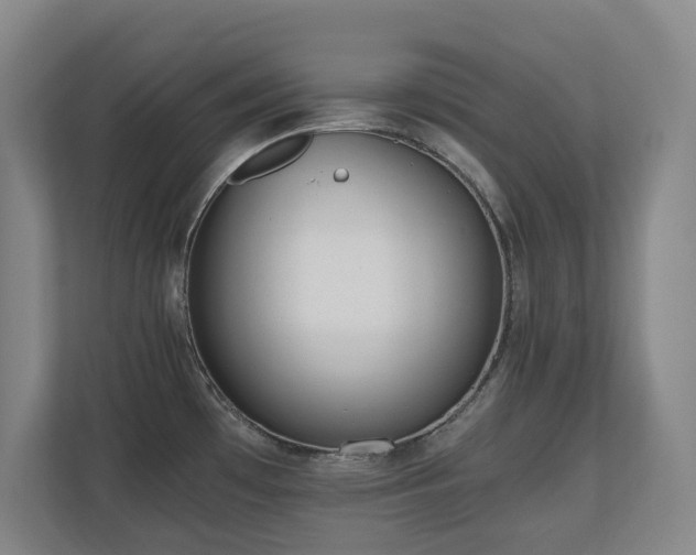 X0000110691481200906121216