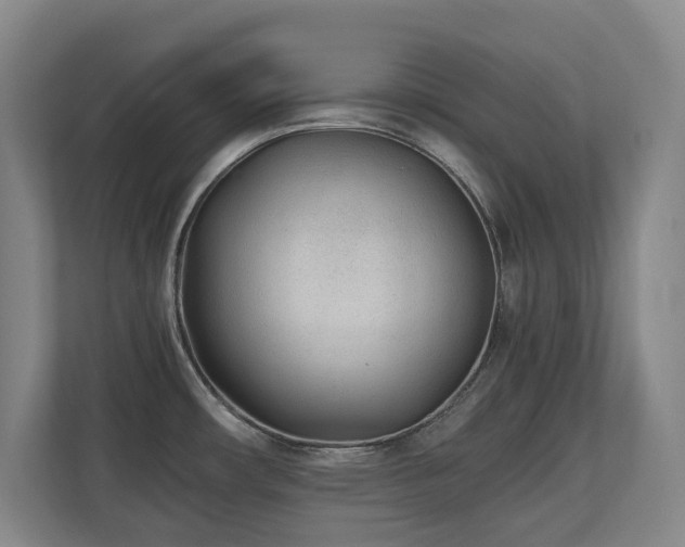 X0000110691482200906121216