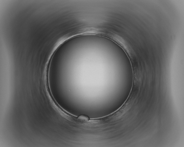 X0000110691483200906121216