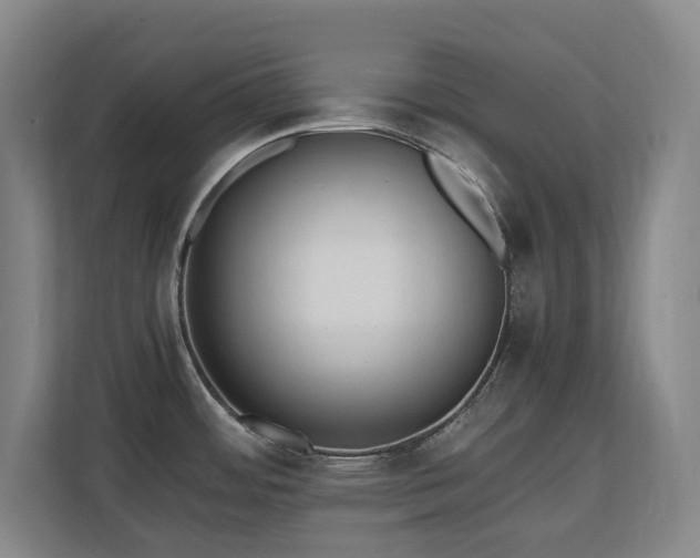 X0000110691484200906121216