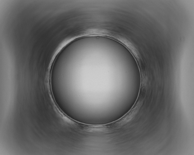 X0000110691486200906121216