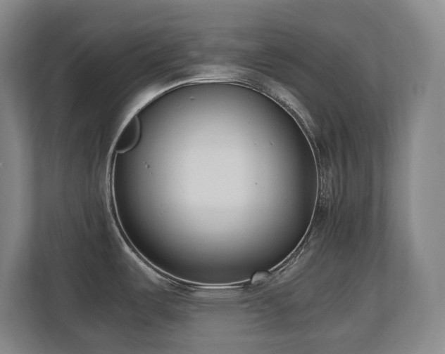 X0000110691487200906121216