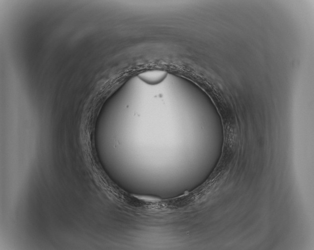 X0000110691489200906121215