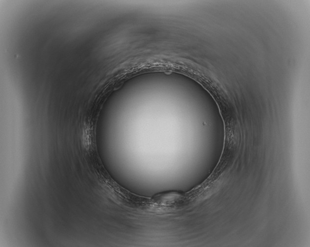 X0000110691490200906121215